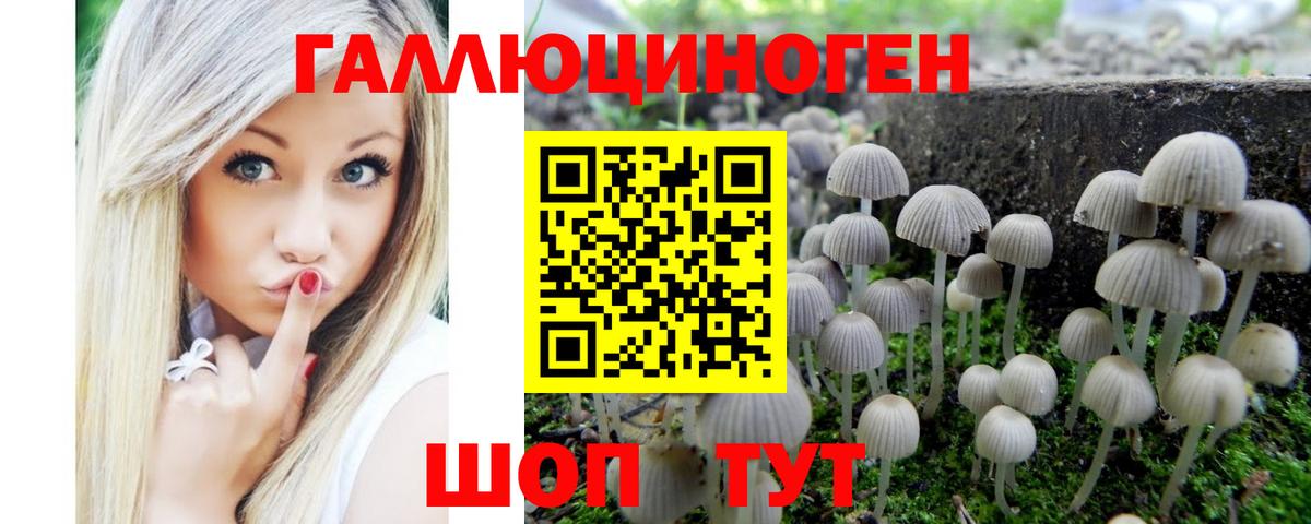 Павловский Посад  Псилоцибиновые грибы прущие грибы  Вход с VPN 